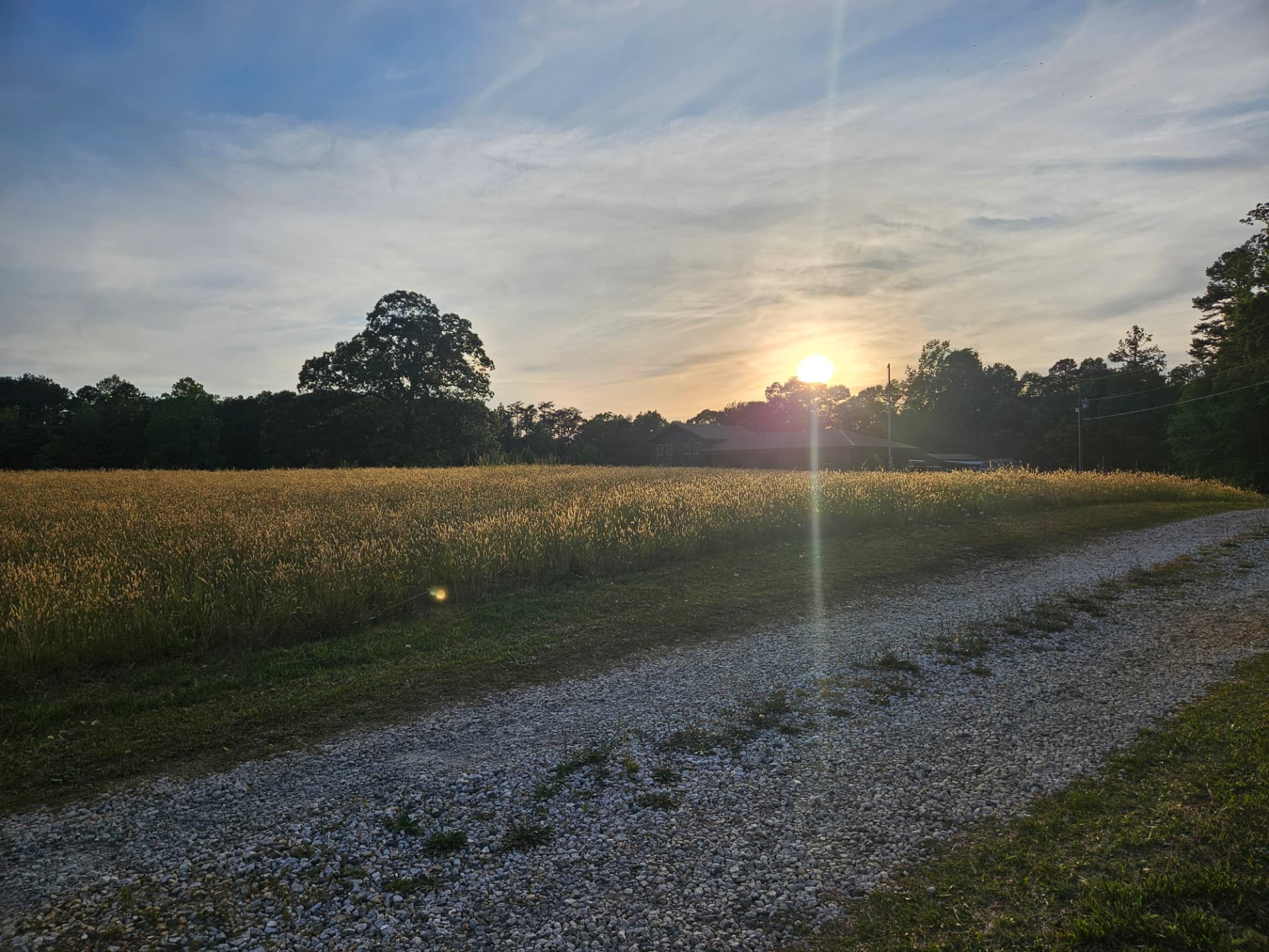 Sunset over the hayfield and farm buildings at Fox Ridge Farm